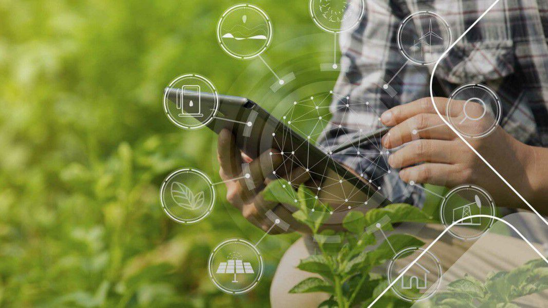 Odoo - Prueba 1 de tres columnas